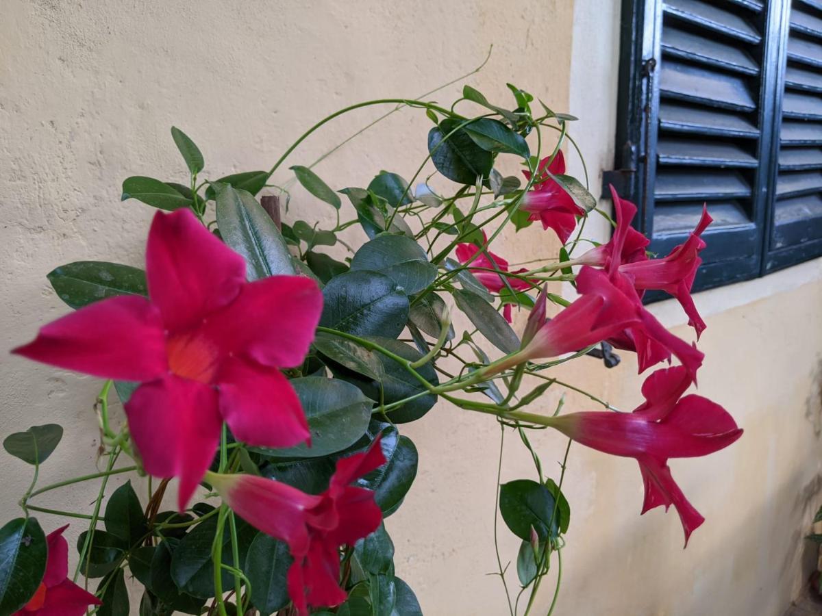 B&B Casa Marconi Pisa Eksteriør billede